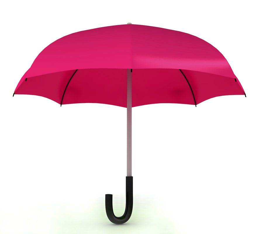 an umbrella policy can protect your assets