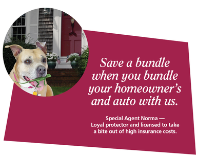 Save when you bundle home and auto insurance