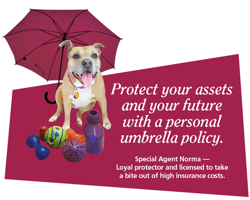 Protect your assets with an umbrella policy