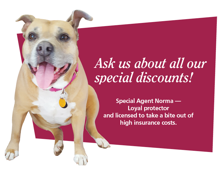Ask us about all our money saving discounts